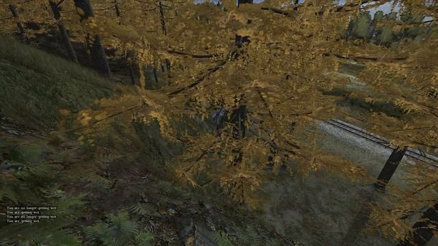 DayZ Standalone / Упал с дерева смотреть онлайн