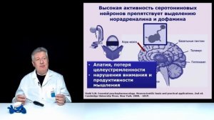 Альтернатива СИОЗС?