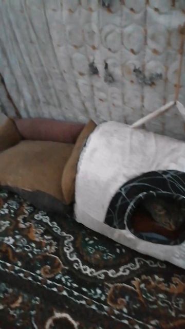 Домик в теплице смотреть онлайн