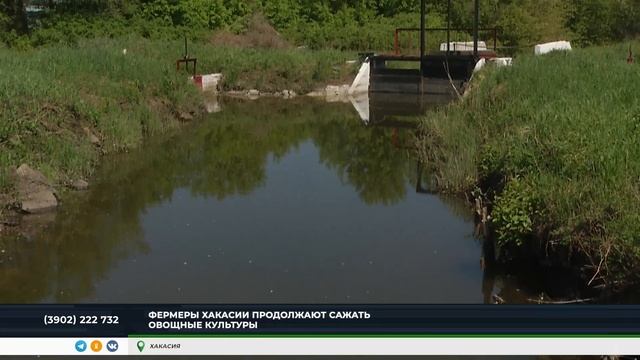 Фермеры Хакасии продолжают сажать овощные культуры смотреть онлайн