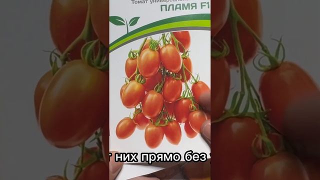 Вкусные томаты от семена Партнер #томаты #помидоры #се? смотреть онлайн