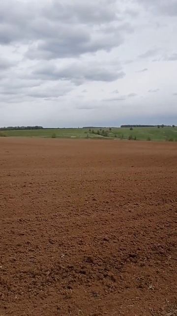 камера передаёт только половину этой прекрасной карт? смотреть онлайн