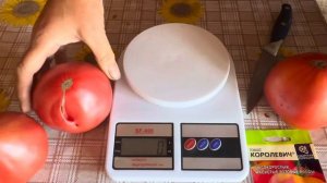 ОТЗЫВ ТОМАТ КОРОЛЕВИЧ. СЕМЕНА АЛТАЯ . 8 сентября 2024 г.