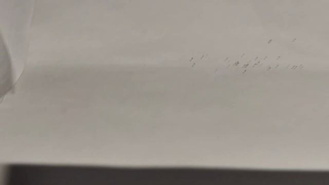 Кампанула,семена собранные лето-осень 2024. смотреть онлайн