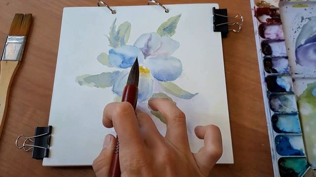 Рисую цветочек виолу акварелью. How to draw a Viola flower in watercolor. смотреть онлайн