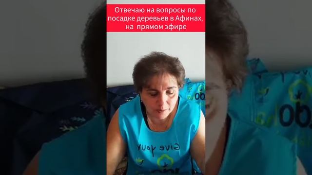 Отвечаю на вопросы по посадке деревьев в Афинах, на  п? смотреть онлайн