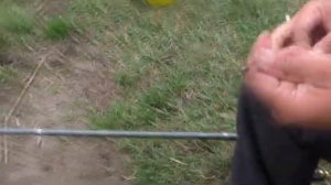 Рыбалка в селе  Ловля карася на поплавок Снасти , каша , тесто