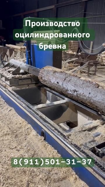 Производство оцилиндрованного бревна смотреть онлайн