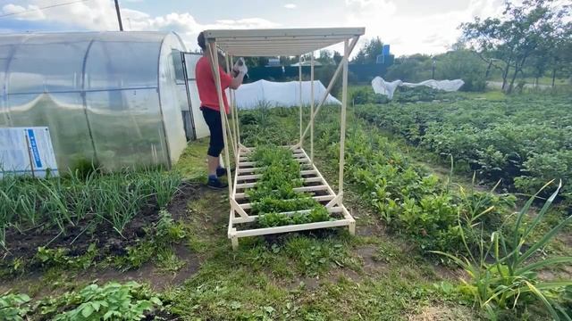 Опора для стручкового гороха своими руками #советы#garde смотреть онлайн
