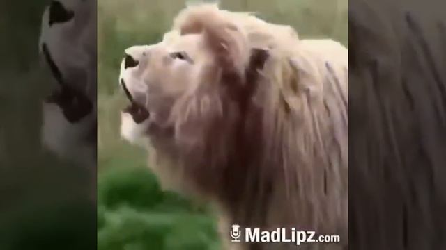 Выходной прикол смотреть онлайн