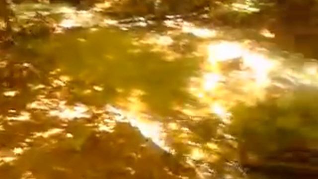 Вода вода Джур Джур