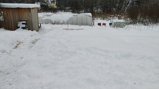 Наконец первые результаты от автоматики. Новые фишки ? смотреть онлайн