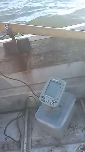 Некогда не знал, что берши водятся в пруду. смотреть онлайн