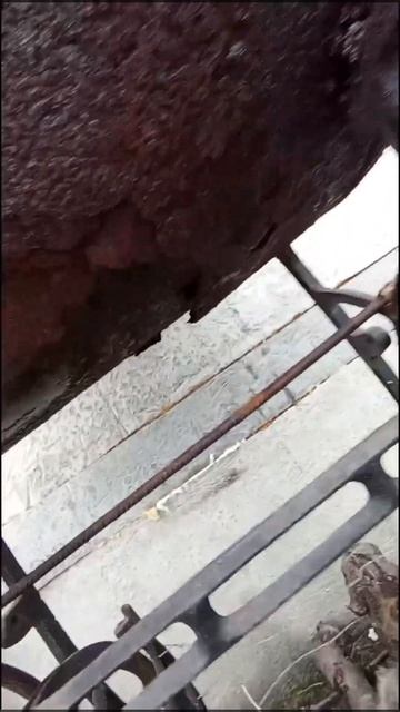 Искусство Уютности