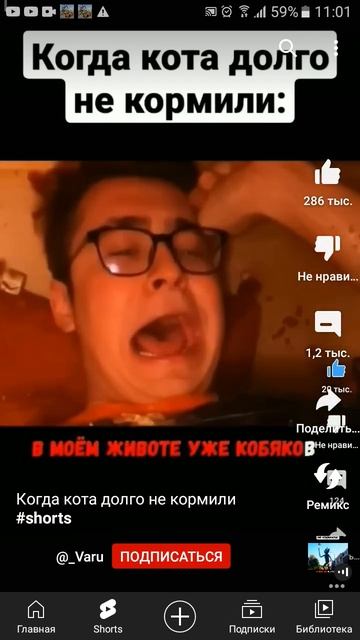 мой кот сидит на диете 2 года смотреть онлайн