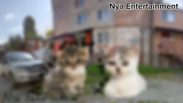 Милый котик Нья - Хейтер (Lyrics video)