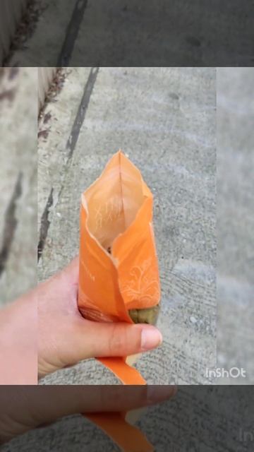 Дегустируем очищенные тыквенные семечки смотреть онлайн