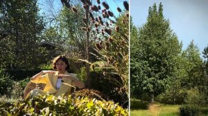 Как сделать сад в природном стиле?