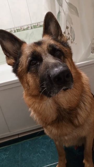 19 ноября 2024 г. смотреть онлайн