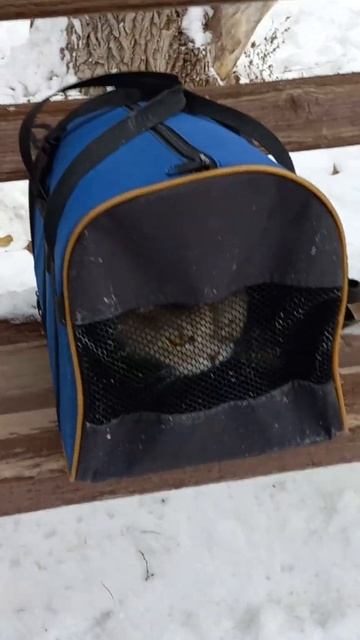 #Самара. 2 декабря. На улице 0. Какая погода в вашем горо? смотреть онлайн