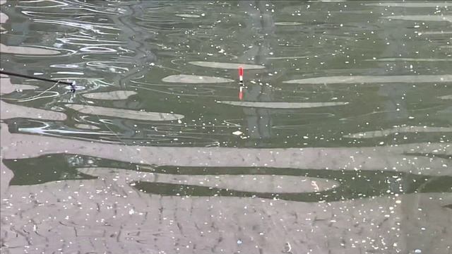 Первая рыбалка на удочку...утопил кружку. смотреть онлайн