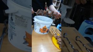 Как правильно нанизывать куриные крылья на шампур.