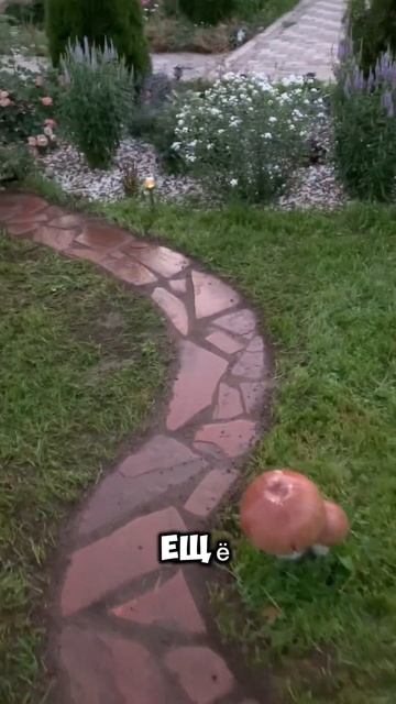 Делаем качественно и недорого.#ландшафтныйдизайн#бла? смотреть онлайн