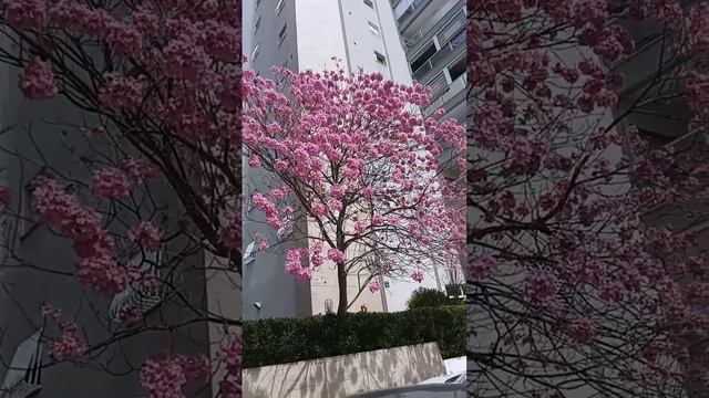 29 марта 2025 г. смотреть онлайн