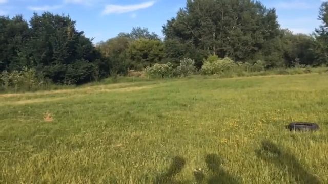 PENALTY CHALLENGE + наказание смотреть онлайн