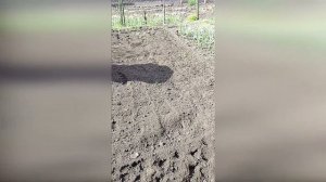 Бензиновый культиватор Huter GMC-1.8