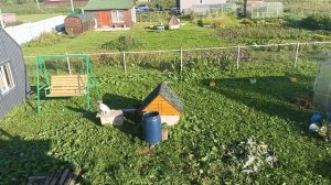 Обшивка дома металлическим сайдингом. Первая часть.