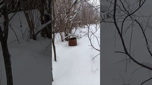 Топчем зимний сад, сад пахчине таптатпор смотреть онлайн