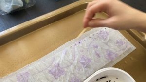 Рассада лука порей в улитке.