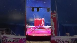 сентябрь 2023 цирк братьев Мансуровых СПБ