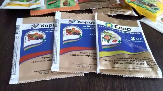 🌳 Чем обработать деревья весной? Лучшие препараты для защиты сада! смотреть онлайн