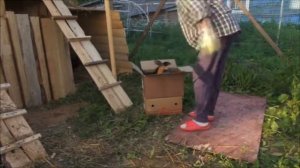 Делаю летний  птичник V