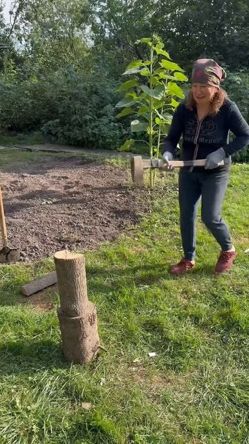 Вторая попытка. #дрова#трудяга#колун#сила#мышцы#дерев? смотреть онлайн