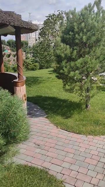 что за куст цветет? смотреть онлайн