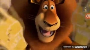 Мадагаскар 3 мультфильм смотреть полностью