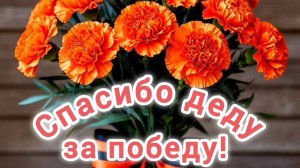 А. КУРЯЕВ.,, СПАСИБО🙏💕 ДЕДУ ЗА ПОБЕДУ!