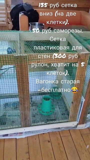временные клетки для цыплят 50*100*80 #цыплята #курица #дер смотреть онлайн