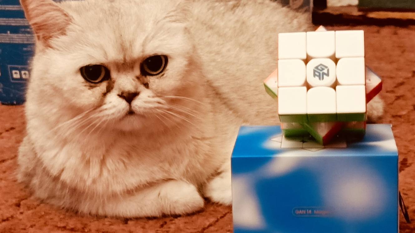 Mercic's Gang | Выбор новой игры от Mercic's Gang, создание первого ее прототипа и многое другое!!!