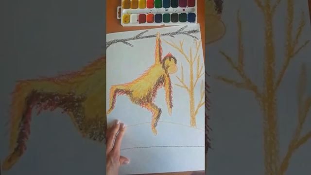 Видеоурок по рисованию длинноволосого орангутана.