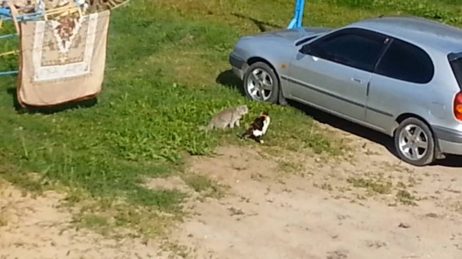 Разборки смотреть онлайн