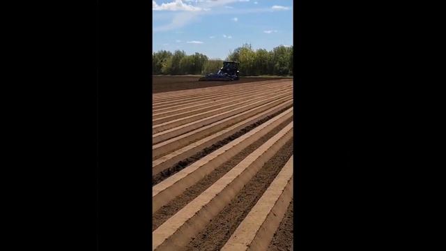 DokaGene. Началась посевная моркови. Со стартом нас! смотреть онлайн
