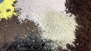 🌺Камелии... 🌺Условия содержания, пересадка, грунт, по