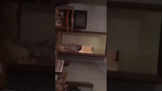 Прикол над сестрой