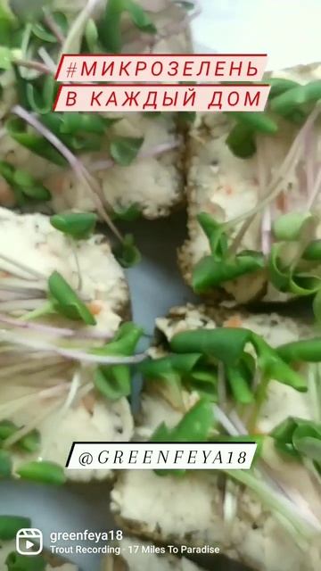 Доброе утро начинается с завтрака #микрозелень #ижевс? смотреть онлайн