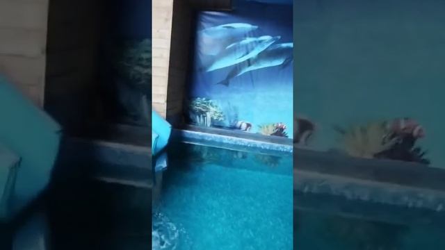 💫Уфа❤, «Райский берег», финская сауна🤩, 12 ноября, 2024?