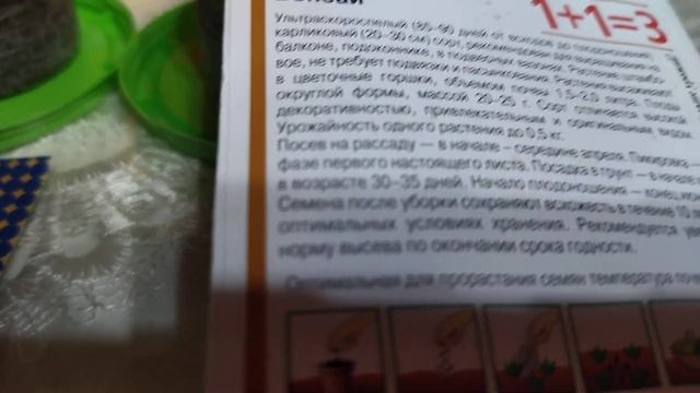 Домашний огород. Помидор Фейерверк и Бонсай! 🍅🍅🍅🍅? смотреть онлайн